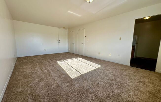 Studio, 1 bath, $805, Unit 310