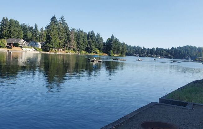 Madrona Point Waterfront Home!