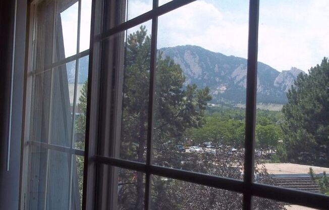 1 bed, 1 bath, 550 sqft, $1,595, Unit 680-311