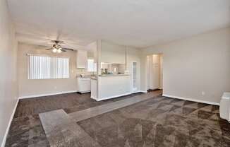 Brookfield Apartment Homes Living Area Carpet