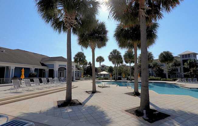 A pool surrounded by palm trees and sun loungers.
