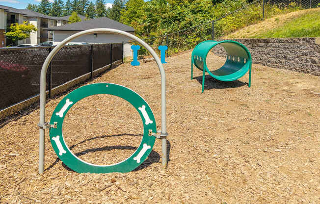 A playground with a green circular structure and a blue structure.