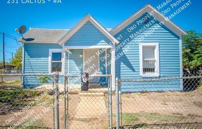 231 Cactus B