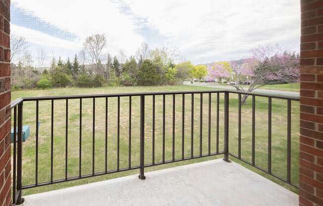 A balcony with a black railing overlooks a grassy area.