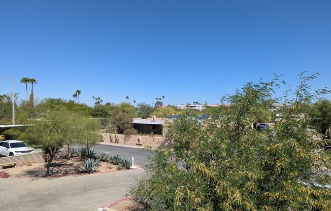 ** TWO (2) MONTHS FREE ** Junior Suite apartment home nestled in a secluded neighborhood with beautiful mountain views