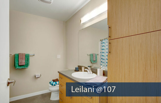 Leilani @ 107 bathroom Apartments in Seattle, WA