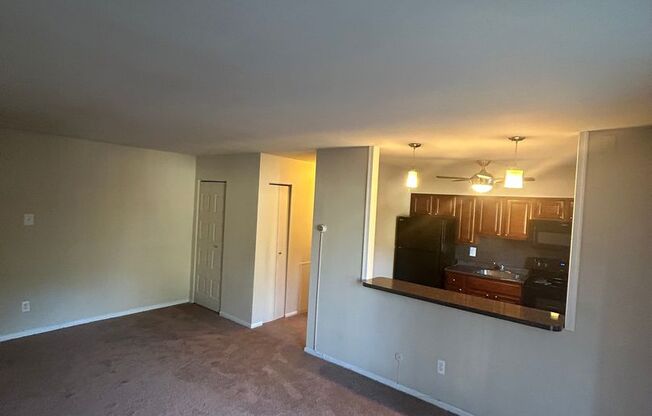 1 bed, 1 bath, 700 sqft, $1,300, Unit A205