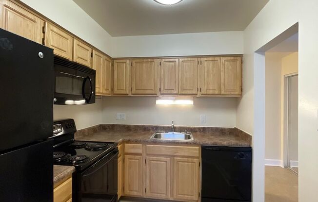 1 bed, 1 bath, 745 sqft, $1,550, Unit 14202 #A1