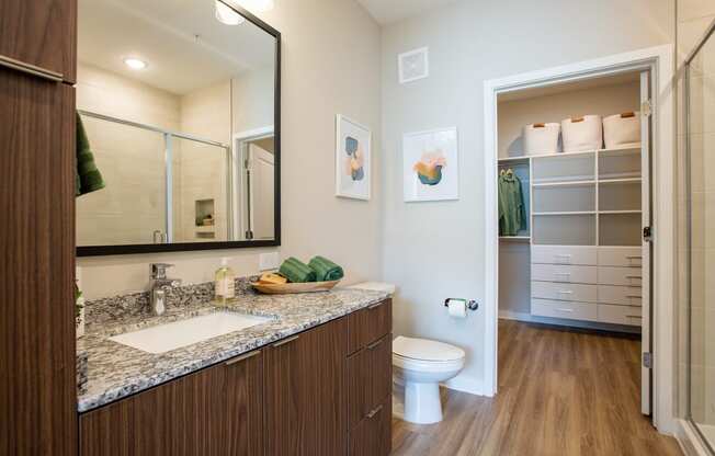 a bathroom with a sink and a toilet and a mirror