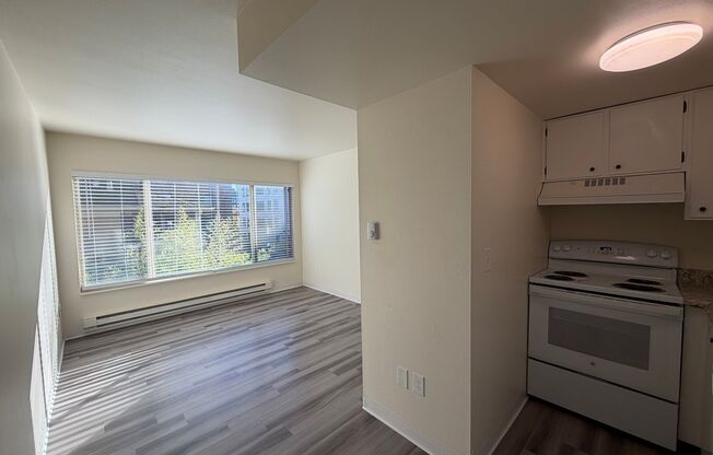 Studio, 1 bath, 400 sqft, $1,195, Unit 206