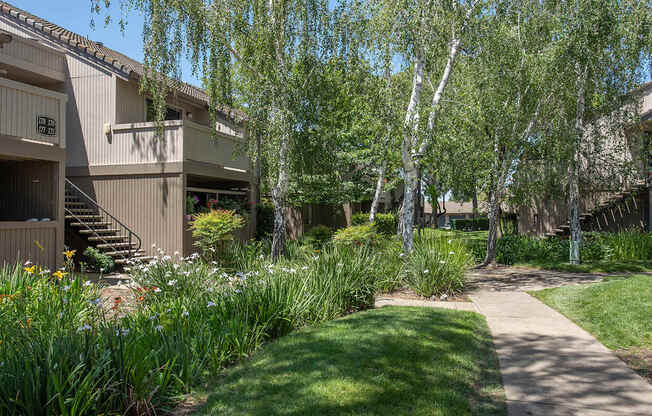 A pathway leads through a grassy area between two buildings at Zinfandel Village Apartments, California, 95670