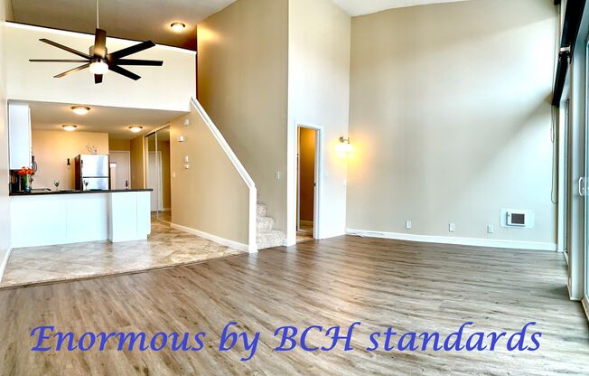 1 bed, 2 baths, 1,000 sqft, $3,395, Unit 316