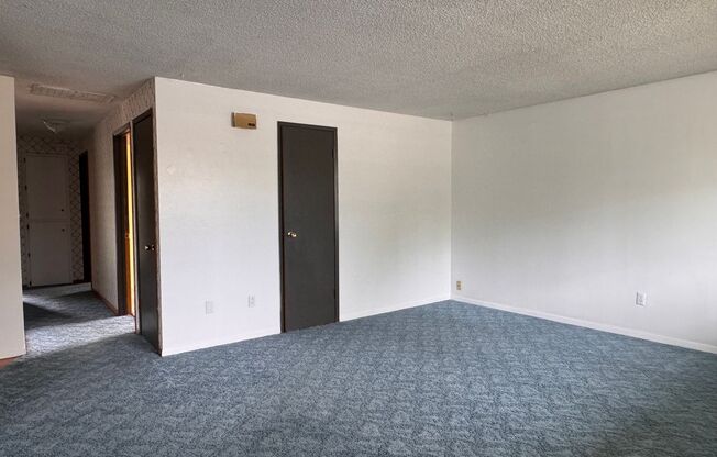 Large 3 br 1 ba charming home