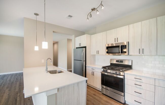 Two Bedroom Luxury Apartment (Elevator Building)