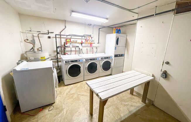 1 bed, 1 bath, 475 sqft, $1,495, Unit 303