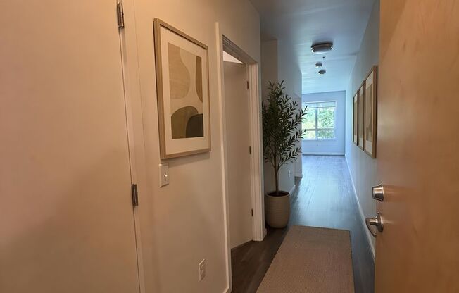 1 bed, 1 bath, 580 sqft, $1,550, Unit 310
