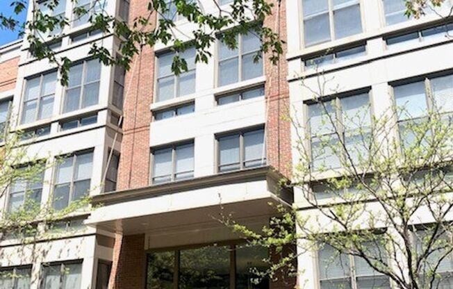 2 beds, 2 baths, 900 sqft, $3,900, Unit 109
