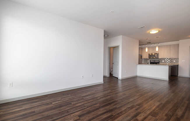 Living Area and Kitchen with Hard Surface Flooring