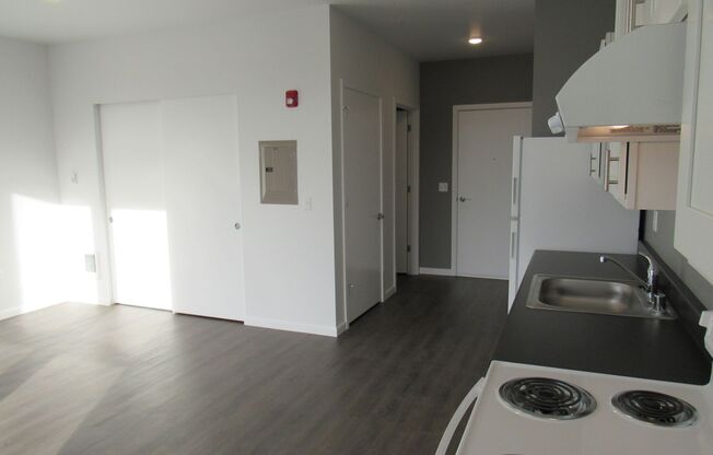 Studio, 1 bath, 467 sqft, $1,275, Unit 413