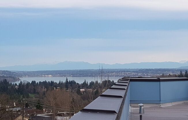 Studio, 1 bath, 278 sqft, $1,050, Unit 204