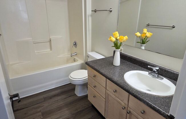Studio, 1 bath, 370 sqft, $1,390, Unit 802