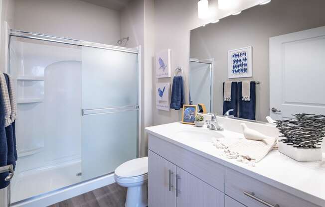 a bathroom with a shower and a sink and a toilet