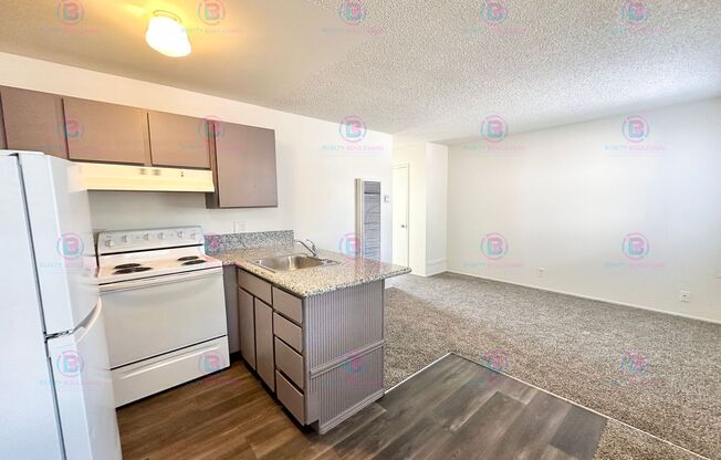 929 Willow St. Reno NV 89502