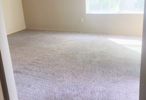 1 bed, 1 bath, 852 sqft, $1,305, Unit 362