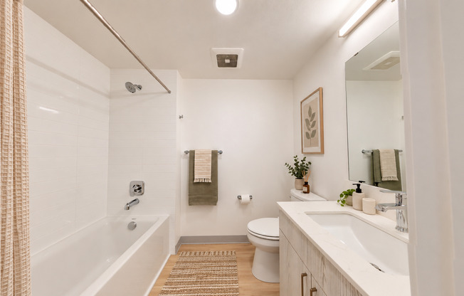 Studio, 1 bath, 287 sqft, $1,199, Unit 329