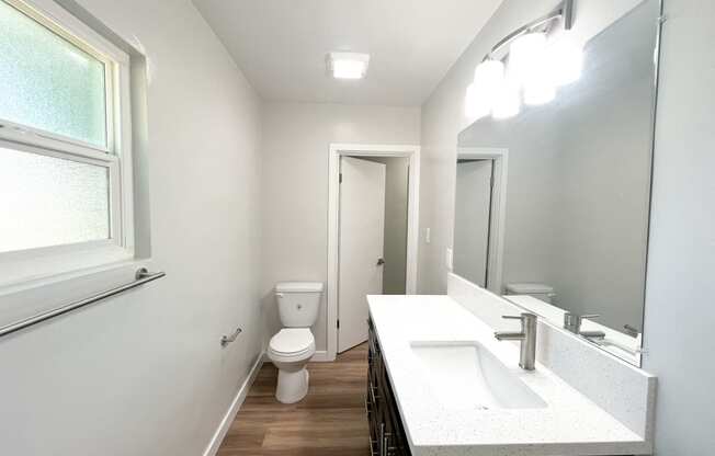 a bathroom with a sink and a mirror and a toilet