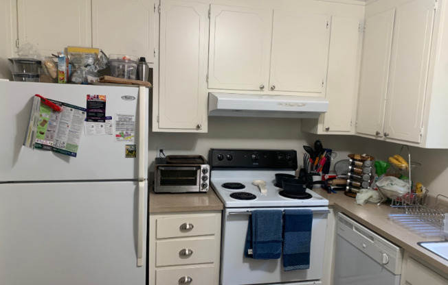 2036 ALTA LOMA