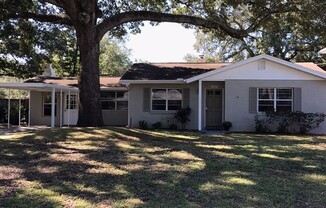 Palma Ceia Home at Fantastic Price!