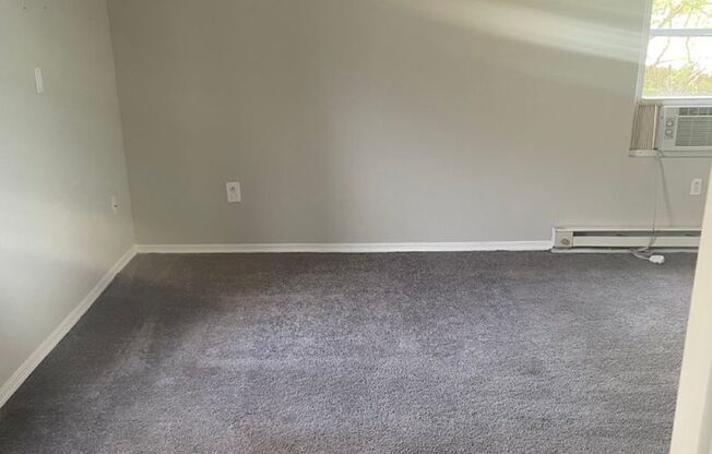 1 bed, 1 bath, 700 sqft, $1,250