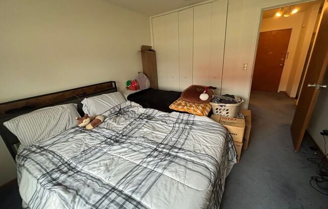 1 bed, 1 bath, 590 sqft, $1,325