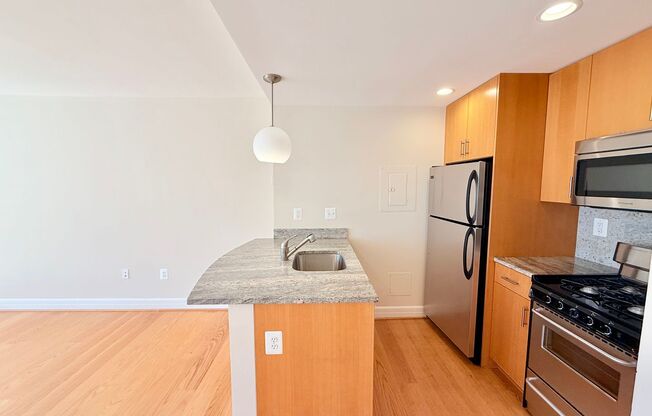 Studio, 1 bath, 460 sqft, $2,400, Unit 0310