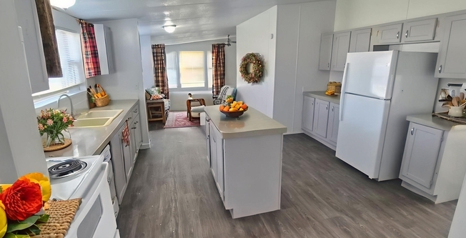 50 ALT COTTON BYU CIR