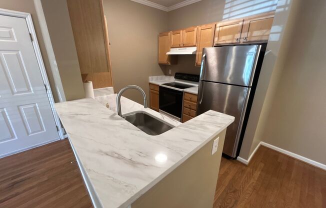1 Bedroom | 1.5 Bathroom Ground Level Raleigh Condo *Water Included*