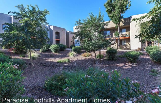 Paradise Foothills Apartment Homes