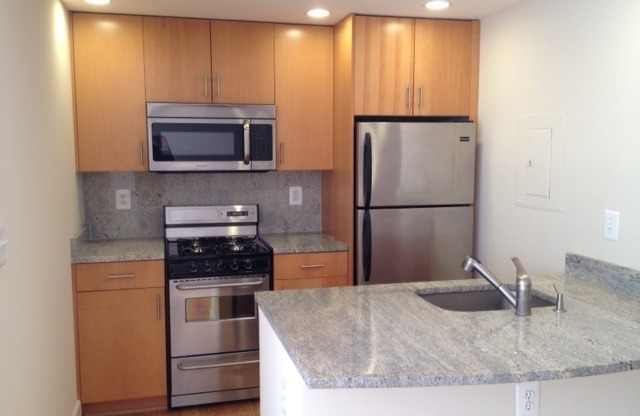 Studio, 1 bath, 460 sqft, $2,700, Unit 0314