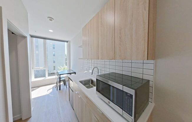 Studio, 1 bath, 314 sqft, $1,250, Unit 309