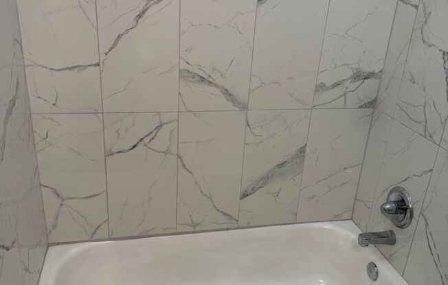 Studio, 1 bath, 250 sqft, $1,195, Unit 300