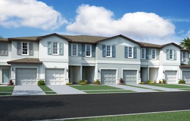 4028 Wild Senna Blvd, Tampa, FL 33619