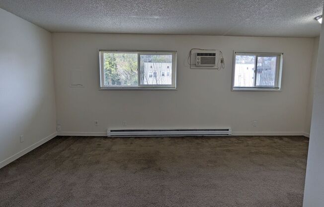 Studio, 1 bath, 350 sqft, $995, Unit 307