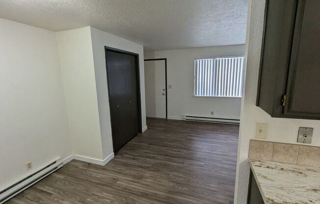 1 bed, 1 bath, $1,050, Unit Anita 3566