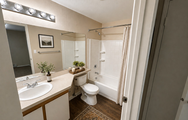 1 bed, 1 bath, 532 sqft, $1,365, Unit 221
