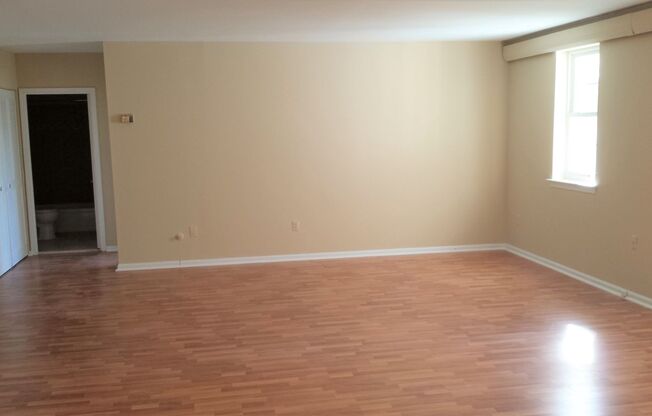 1 bed, 1 bath, $1,895, Unit LL - 312