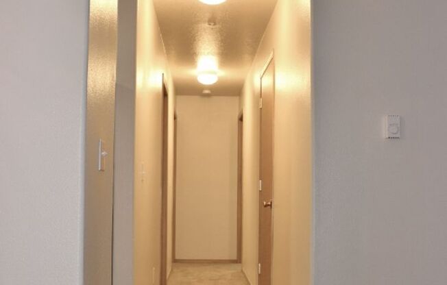 3 beds, 2 baths, 1,091 sqft, $1,799, Unit 301