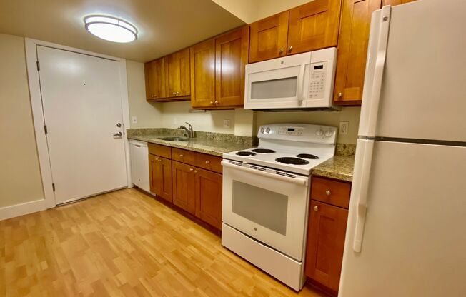 Studio, 1 bath, 393 sqft, $1,445, Unit 113