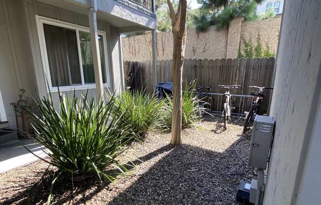 the side yard of a house with a tree and a bike parked next to it