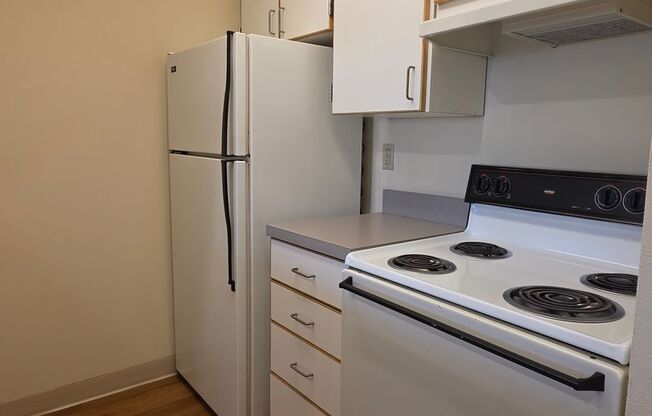 1 bed, 1 bath, $1,295, Unit 102